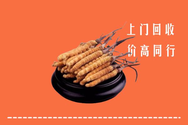 高价求购：琼结县回收散虫草
